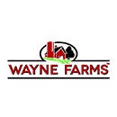 31_wayne